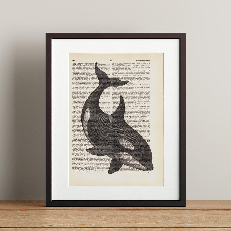 Orca - 21x28.3cm - 4.900 kr