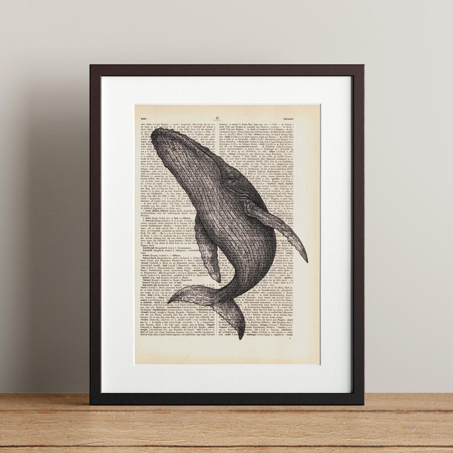 Humpback Whale - 21x28.3cm - 4.900 kr