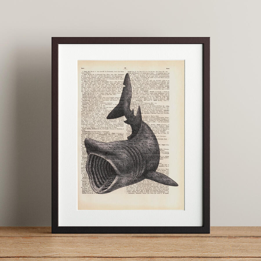 Basking Shark - 21x28.3cm - 4.900 kr