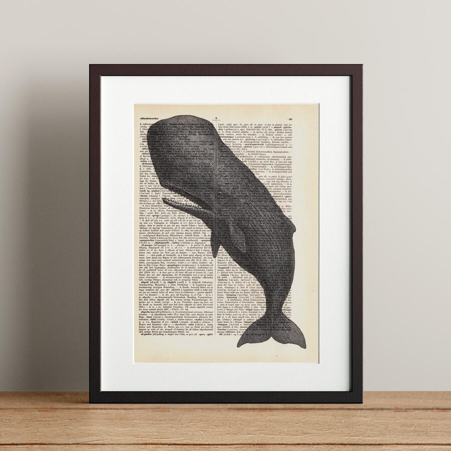 Sperm Whale - 21x28.3cm - 4.900 kr