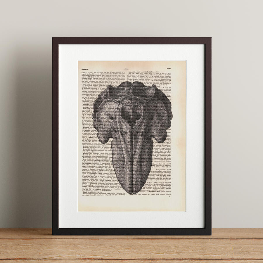 Haus rándýrsins 21x28,3cm 5.900 kr