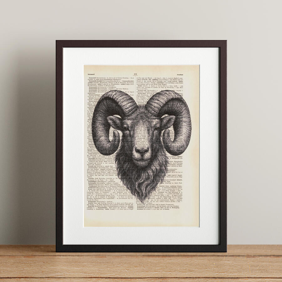 Hrútur 21x28,3cm 5.900 kr